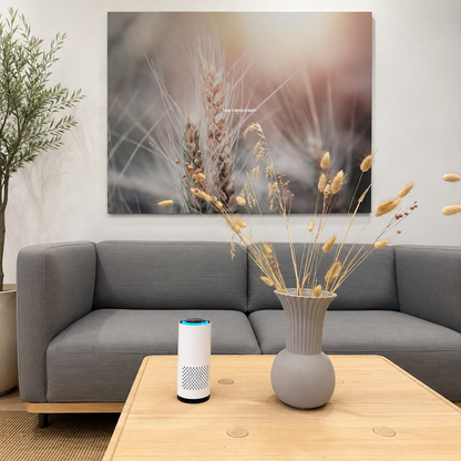 Purificateur d’Air Solivya