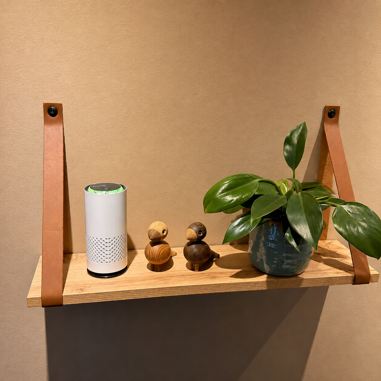 Purificateur d’Air Solivya