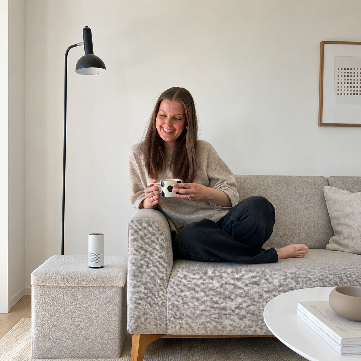 Purificateur d’Air Solivya