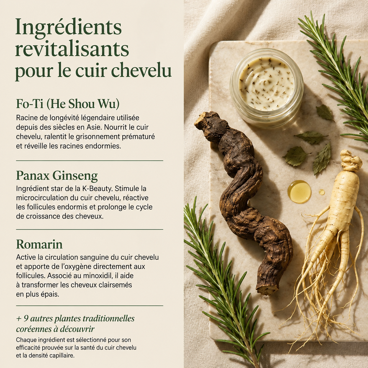 Shampoing Coréen Racine Pure